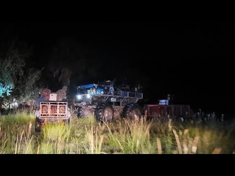 Видео: Охота на кабанов с собаками на ранчо 101 [2025]