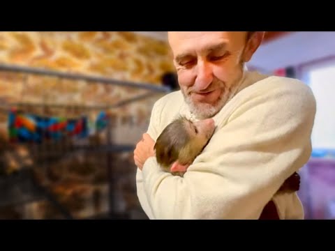 Видео: Посмотрите КАКИЕ ИСТЕРИКИ устраивает Степка лишь бы побыть на ручках, а Влад его успокаивает!