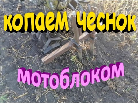 Видео: Самодельное приспособление для копки чеснока мотоблоком