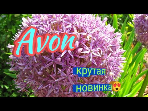 Видео: Today Everlasting😍Новинка марта,которая меня покорила.😍#avon