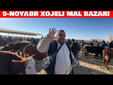 Видео: 9-НОЯБРЯ 2025-ЖЫЛ/ХОЖЕЛИ МАЛ БАЗАР СКОТНЫЙ РЫНОК БУГА КОЙ ЕШКИ 