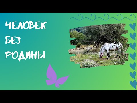 Видео: Вопрос На Засыпку 🤷‍♀️