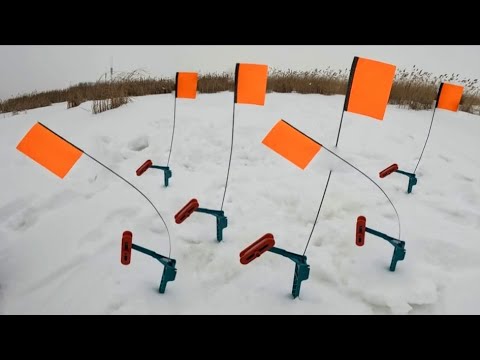 Видео: ВЗОРВАЛИ ЩУЧИЙ ПРУД ЖЕРЛИЦАМИ! ТАКОГО ФИЕРИЧЕСКОГО КЛЁВА я не ожидал! НОВИНКА ФИШКИ ПЕТРОВА у меня!