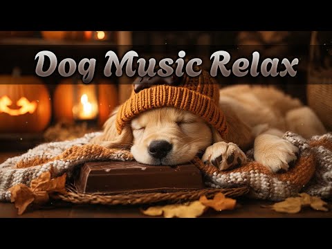 Видео: Музыка для собак, которые одни дома 🏡 | Снимает тревогу разлуки и способствует спокойному сну 💤