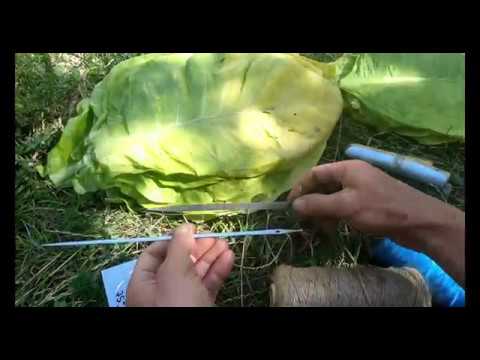 Видео: 2 Оптимальная игла для нанизывания табачного листа