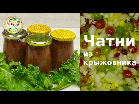 Видео: Чатни из крыжовника