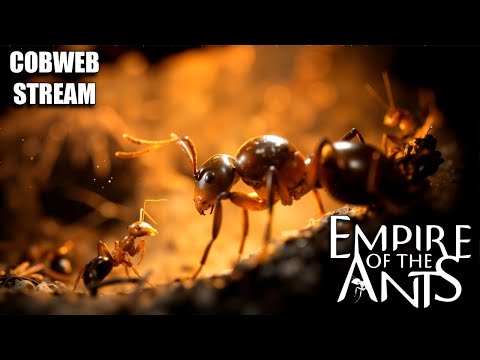 Видео: Empire of the Ants - Муравьиное царство - Дом муравьев