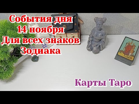 Видео: События дня 14.11.25 Для всех знаков зодиака/Таро прогноз/Карты Таро