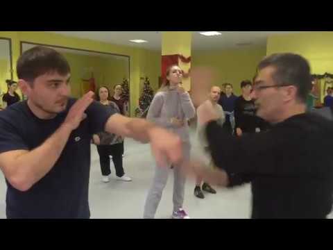 Видео: " Мир воинских искусств в современной картине" часть  9