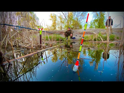 Видео: Ловим КРУПНОГО КАРАСЯ с ПЛИТ в КАМЫШЕ!!!