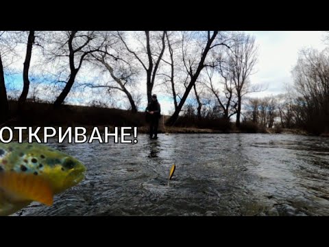 Видео: ОТКРИВАНЕ на НОВИЯ ПЪСТЪРВОВ СЕЗОН на река Въча!