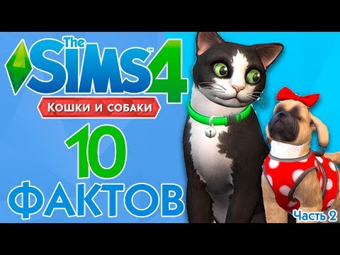 Видео: The Sims 4 Кошки и собаки - Новые факты о дополнении!