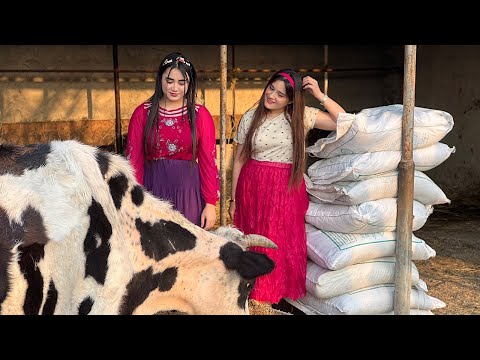 Видео: Ностальгический день в деревне: приключение в бабушкином доме с деревенскими девочками