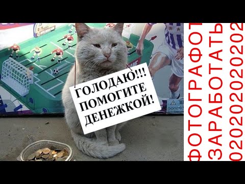 Видео: Съемка контента для соц-сетей