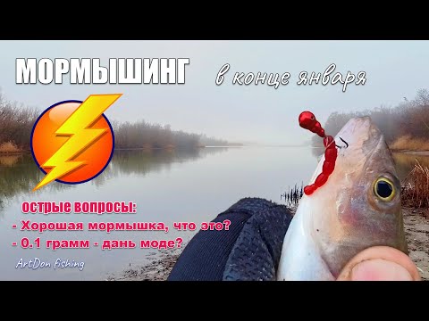 Видео: МОРМЫШИНГ в конце января #artdon_fishing, #мормышинг