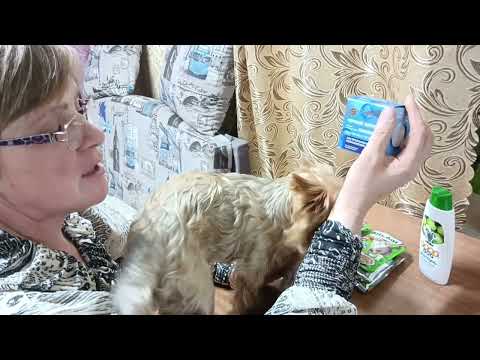 Видео: Ездила в районный центр.