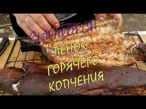 Видео: Ленок горячего копчения в шарабане