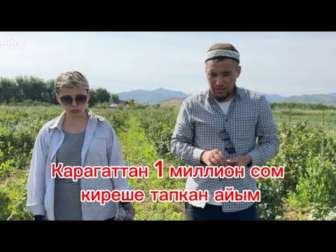Видео: Пандемияда айла тапкан айым