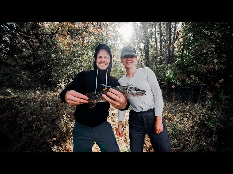 Видео: РЫБАЛКА с НОЧЕВКОЙ | ОБЗОР палатки УП 3 Алтай | Первая ЩУКА | ГРИБЫ