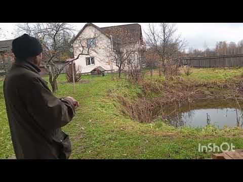 Видео: ПЕРЕЕХАЛИ К ДОЧЕРИ В ДЕРЕВНЮ ОБЗОР БАНИ