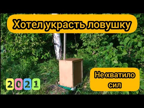 Видео: ОБНАГЛЕВШИЙ ЖУЛИК!!!!! Ревизия после кражи, и не только...