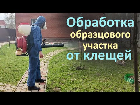 Видео: Обработка образцового участка от клещей в Красногорском районе