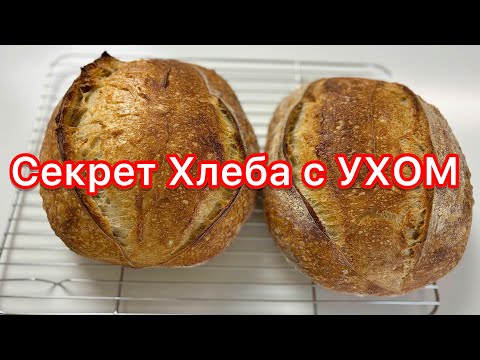 Видео: 🔥🔥ХЛЕБ с УХОМ на ЗАКВАСКЕ - вот в чём СЕКРЕТ!