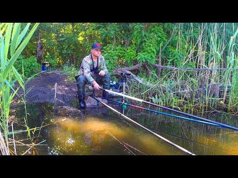 Видео: А ЩО, ТАК МОЖНА БУЛО?! Рибалка на Поплавок. Крупний карась. Риболовля на карася.