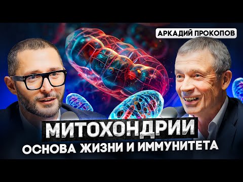 Видео: Аркадий Прокопов. Что скрывают ваши митохондрии? Доктор Дзидзария о старении и хронических болезнях