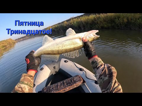 Видео: ХОРОШАЯ РЫБАЛКА С ДРУЗЬЯМИ!!! И РЫБОЙ!!! ВИНТ СТЕРЛИ!!! МЯСО СЪЕЛИ!!!