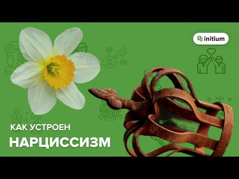 Видео: Как устроен нарциссизм | Нарциссический радикал и нарциссическое расстройство личности