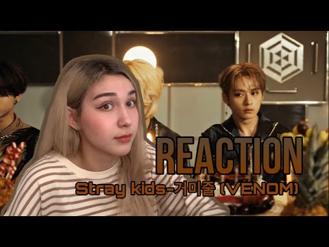 Видео: Реакция на клип Stray kids 거미줄 (VENOM)