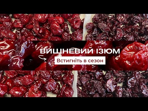 Видео: Как приготовить Вишню, шаг за шагом 4 способа заготовки на зиму 🍒 Вишневый изюм 🍒