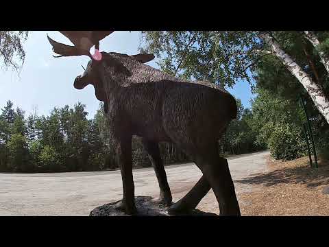 Видео: Зона отчуждения ,Полеское