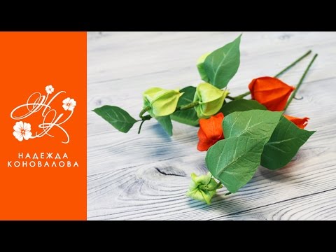 Видео: Осенний физалис из фоамирана - мастер-класс