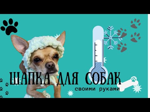 Видео: Туториал (DIY) на шапку (балаклаву)  из пряжи Ализе Пуффи (Alize Puffy) для питомцев .