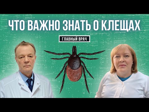 Видео: Что важно знать о клещах. Главный врач #6