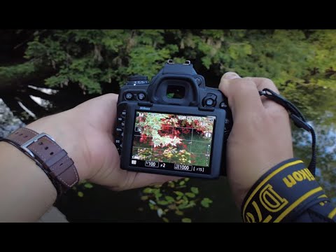 Видео: Расслабляющий деревенский  стрит от первого лица. Relaxing pov street photography.