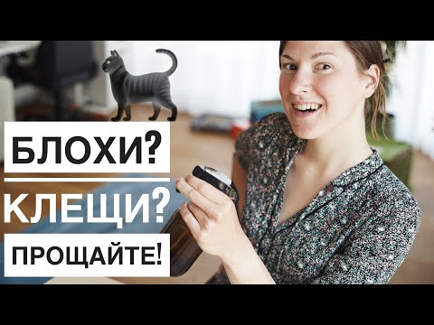 Видео: От блох и клещей навсегда! 3 натуральных способа защиты кота