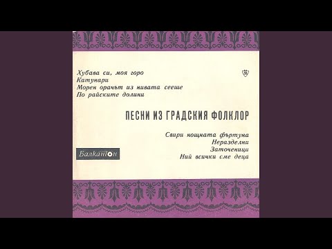 Видео: Катунари