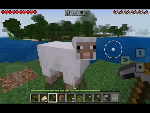 Видео: 9 ноября 2025 г.