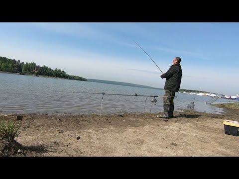 Видео: Иркутское ВДХР / залив Щучий / открытие сезона жидкой воды / фидер / лещ / сорога