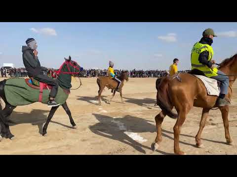 Видео: Бәйге Боранқұл 01.05.2022