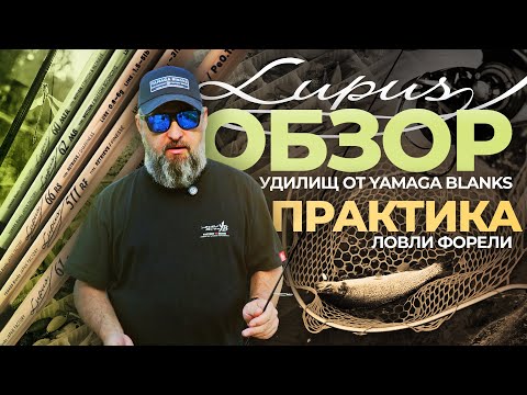 Видео: LUPUS for AREA - Бюджетный ЯПОНСКИЙ спиннинг YAMAGA BLANKS для ФОРЕЛИ! Обзор удилищ и практика ЛОВЛИ