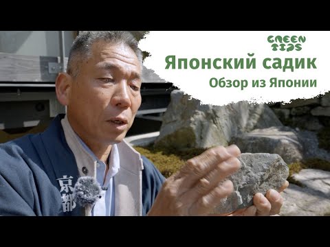 Видео: Японский садик обычного японца. Обзор сада на 2 сотках с Накатаке Сан