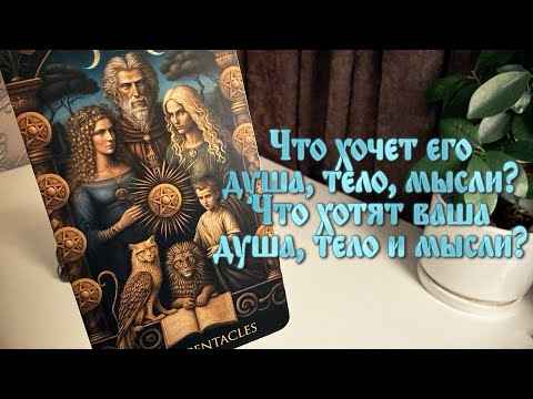 Видео: Что хочет душа, тело, мысли? Что хотят ваша душа, тело и мысли?