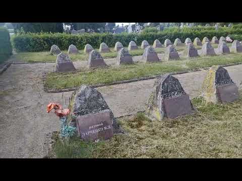 Видео: Кладбище в Литве, могилы советских солдат #lithuania #litva #литва