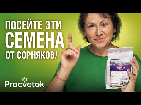 Видео: ЭТИ РАСТЕНИЯ ИЗБАВЯТ ОТ СОРНЯКОВ В ОГОРОДЕ! Что посеять весной от злостных сорняков?