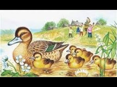 Видео: Для маленьких рассказ "Ребята и утята" — сделано в Clipchamp
