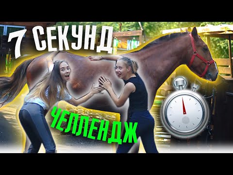 Видео: 7 СЕКУНД ЧЕЛЛЕНДЖ  (Конная версия) ВЫЗОВ ПРИНЯТ / Коноблог